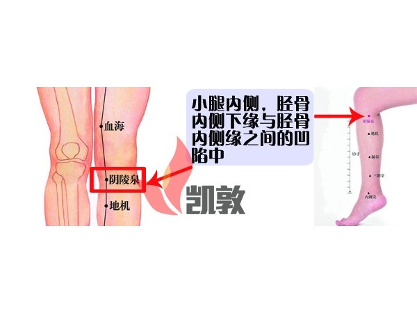 9.陰陵泉穴